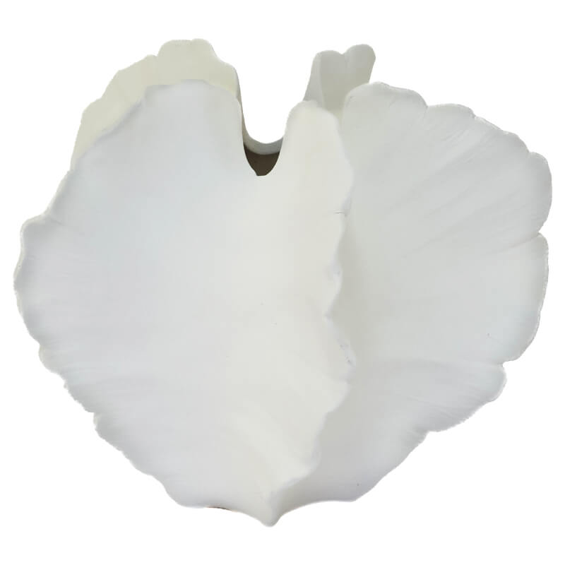 SHELL VASE 17X19X18CM