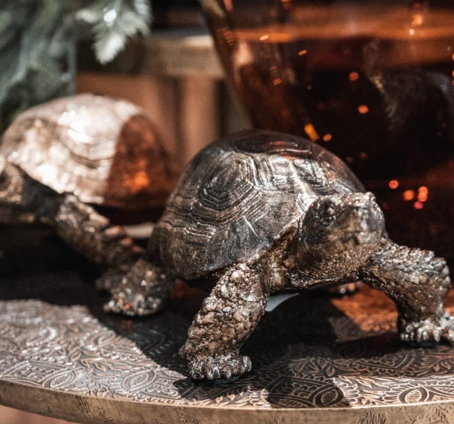 GOLD TORTOISE 18X8.5CM